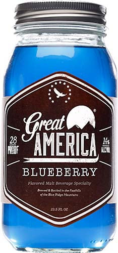 GREAT AMERICA  BLUEBERRY
