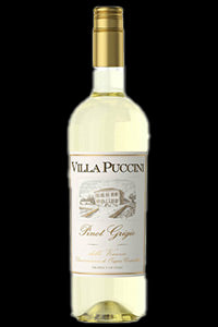 Villa Puccini Pinot Grigio|Liquor Cave