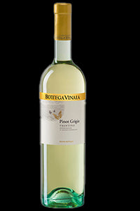 Bottega Vinaia Pinot Grigio|Liquor Cave