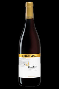 Bottega Vinaia P Noir (Trentino)|Liquor Cave