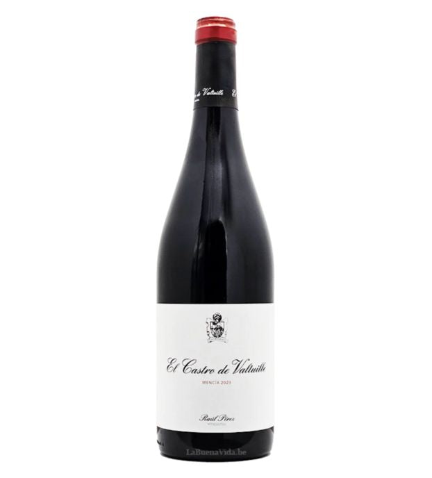 Castro Ventosa Bierzo Mencia 2022