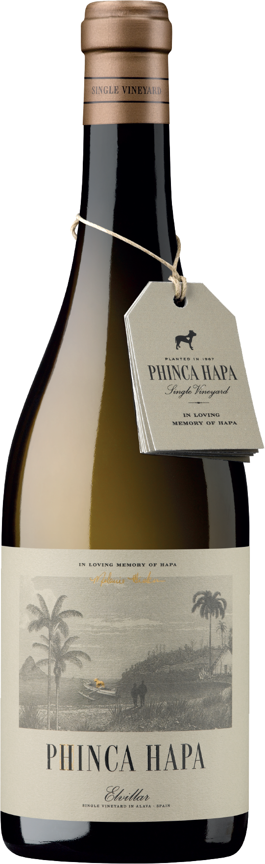 Bhilar 'Phinca Hapa Blanco' 2020