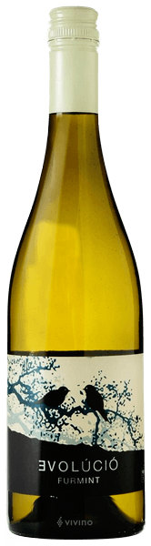 Evolucio Tokaj Tokaji Dry 2022