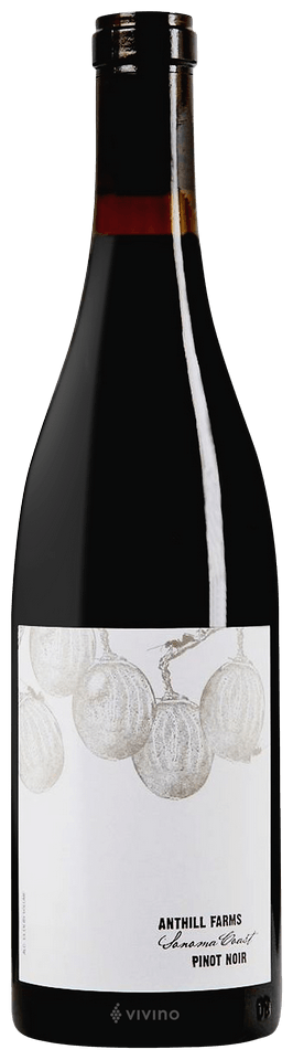 Pinot Noir Sonoma Coast Anthill Farms 2022