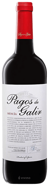 Virgen del Galir Pagos del Galir Valdeorras Mencia 2021