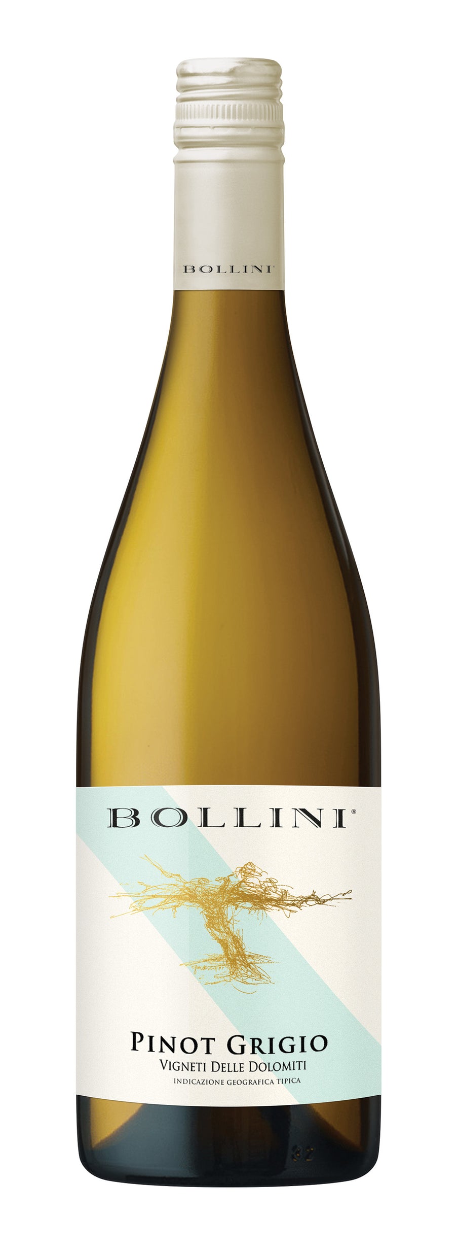 Bollini Pinot Grigio 2021 | Liquor Cave