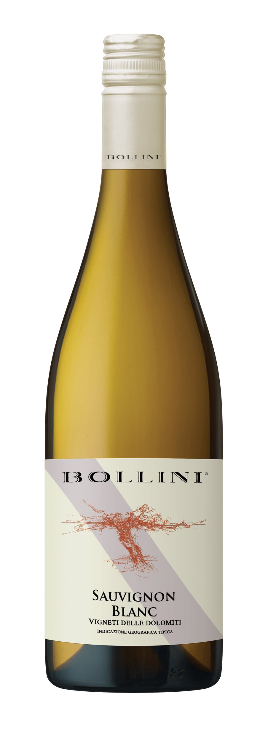 Bollini Sauvignon Blanc 2022 | Liquor Cave